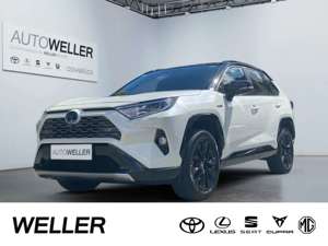 Toyota RAV 4 2.5 Hybrid 4x4 Style Selection *AHK*Navi*360°