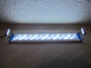 Neue LED Aufsetzlampe für Aquarien von 38 cm bis 51 cm