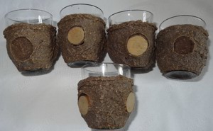 H Schnapsglas 4 Stk Stamperl aus Glas mit Schutz 4,8 H    2,1  4,1   4,5 wenig benutzt sehr gut er Bild 5