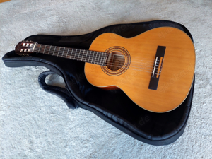 Gitarre Ortega R122-3 4