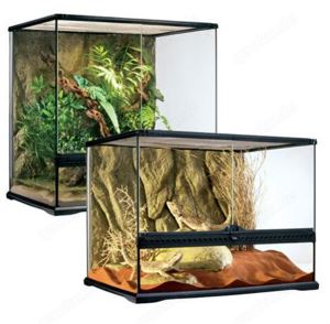 Terrarium - Exo Terra Variante Medium Tall:  60 x 45 x 60 cm 