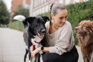 Lino sucht sein Für-Immer-Zuhause