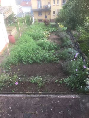 Vermietung teilmöbliert und Garten