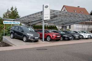 Ford Tourneo Custom 2.0 TDCi Sport Automatik Bild 4