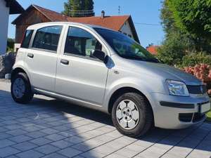 Fiat Panda Panda 1.1 Active