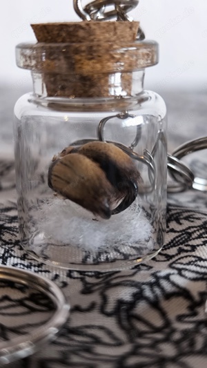 Schlüsselanhänger mit echten Spinnenzähnen  Bild 3