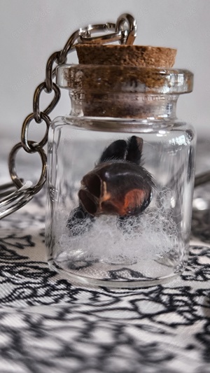 Schlüsselanhänger mit echten Spinnenzähnen  Bild 4