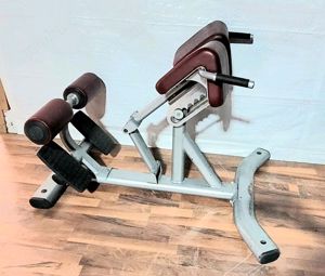 Life Fitness Hyperextensionbank Rückengerät Rückenaufbau Rückentraining Reha Profigerät fitness