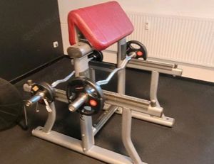 Life Fitness Signature Scottbank Curlbank Bizepsbank Bizepsmaschine gym 80 hbp Bizepstraining