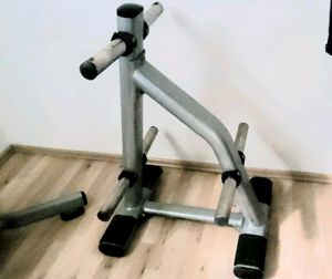 Life Fitness Signature Hantelscheibenständer Scheibenständer atx hbp gym 80 
