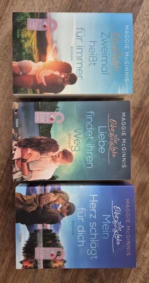 3 Bücher Maggie Mc Ginnis 1mal gelesen TOP Preis inkl. Versand