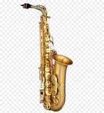 Saxophonist  in  in Lahnstein gesucht