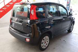 Fiat Panda Pop 1.2/ Klima / mit einen Pizzaofen Bild 4