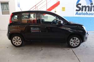 Fiat Panda Pop 1.2/ Klima / mit einen Pizzaofen Bild 5