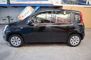 Fiat Panda Pop 1.2/ Klima / mit einen Pizzaofen Bild 2