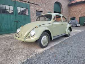 Volkswagen Käfer Standard 1. Hand Dickholmer Bild 1
