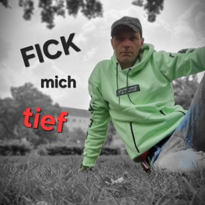 Deckhengst gesucht 