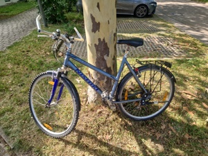 Fahrrad Damen 