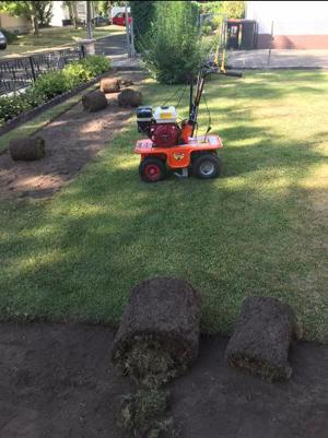 Gartenservice Bild 2