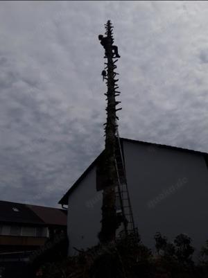 Gartenservice Bild 9