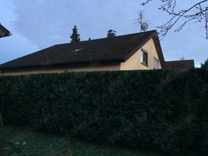 Baumfällungen,Baumspflege,Obstbaumschnitt Bild 7