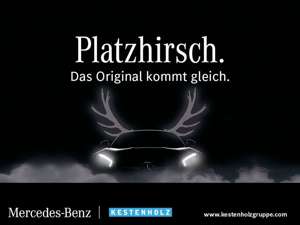 Mercedes-Benz Vito 116 CDI 4x4 Kasten Lang Navi Kamera STHZ