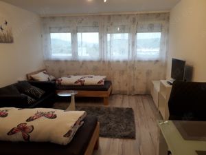 Einzimmer    Monteur   Apartment Lahr   Schwarzwald Bild 2