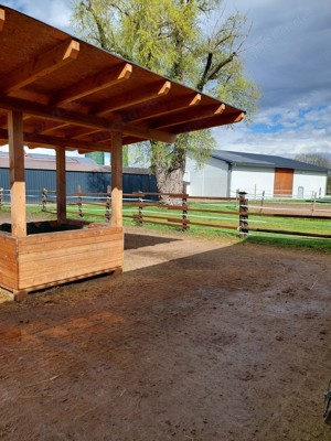 Ofenstallplatz in Schwetzingen für Pony (1,20 1,25m) zu bieten