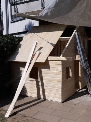 Gartenhelfer hilft in Düsseldorf und Meerbusch  Bild 7