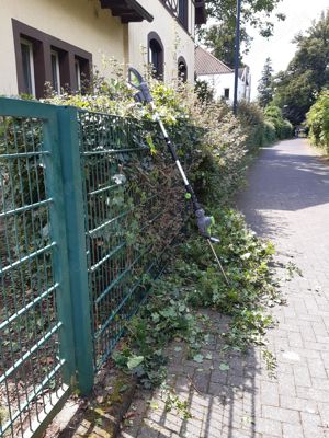 Gartenhelfer hilft in Düsseldorf und Meerbusch  Bild 5