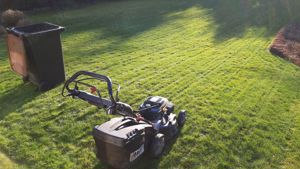 Gartenhelfer hilft in Düsseldorf und Meerbusch 