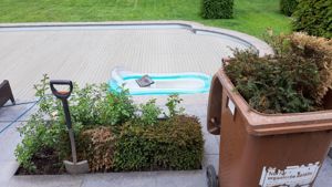 Gartenhelfer hilft in Düsseldorf und Meerbusch  Bild 6