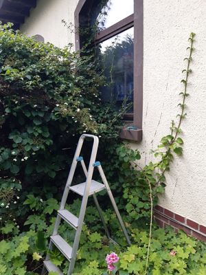 Gartenhelfer hilft in Düsseldorf und Meerbusch  Bild 8
