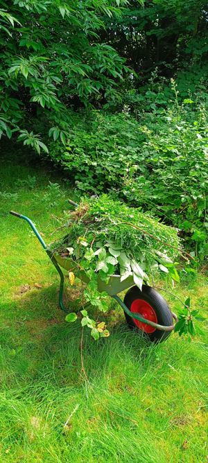 Gartenhelfer hilft in Düsseldorf und Meerbusch  Bild 9