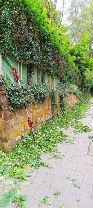 Gartenhelfer hilft in Düsseldorf und Meerbusch  Bild 10