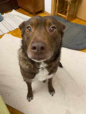 Francesca wartet auf ein 4ver home Bild 7