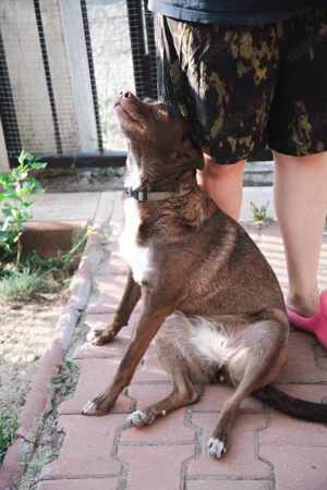 Francesca wartet auf ein 4ver home Bild 4