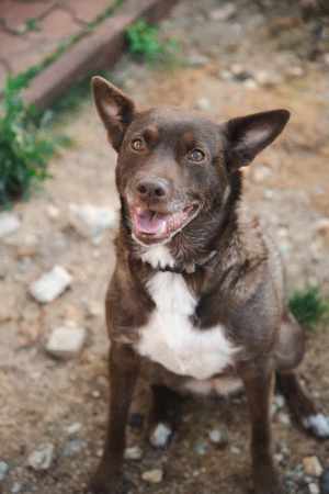 Francesca wartet auf ein 4ver home Bild 2