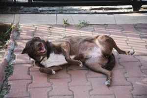 Francesca wartet auf ein 4ver home Bild 6