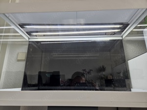 Aquarium von Eheim 126 Liter Bild 4