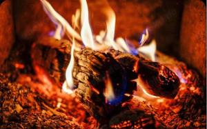 Brennholz Trocken Eichen   Buche inkl. Lieferung