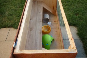 Goldhamster Babys Bild 5