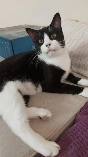 Schatz Biky in Ffm(ALO) Bild 4