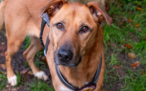 Die süße Finja möchte noch viel erleben Bild 4