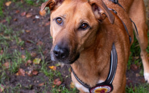 Die süße Finja möchte noch viel erleben Bild 3