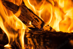 Laub mix Kaminholz, Brennholz, Feuerholz, für den Kamin und Ofen (Kammer-getrocknet)