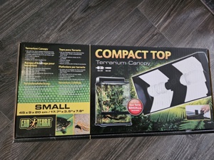 Kronengeckos adult, ein Männchen ein Weibchen Bild 8