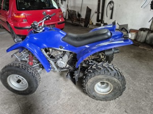 Quad Adly Hercules 300