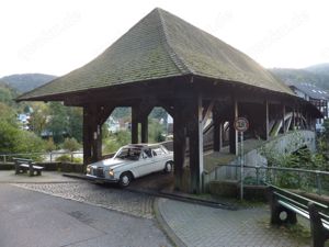 i'm just a lonely boy  Bild 2