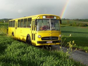 i'm just a lonely boy  Bild 4